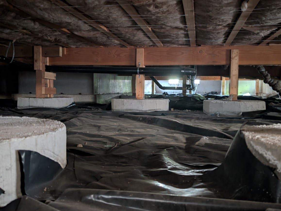 Crawlspace support posts and plumbing checked for rat activity in Cordata, Bellingham
