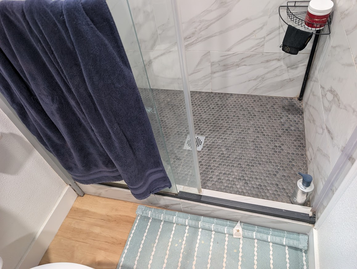 Basement apartment shower near WWU in Bellingham where dampwood termite swarmers emerged