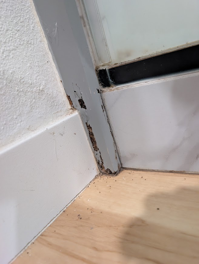 Rotted, termite-damaged trim at the base of a basement shower near WWU in Bellingham
