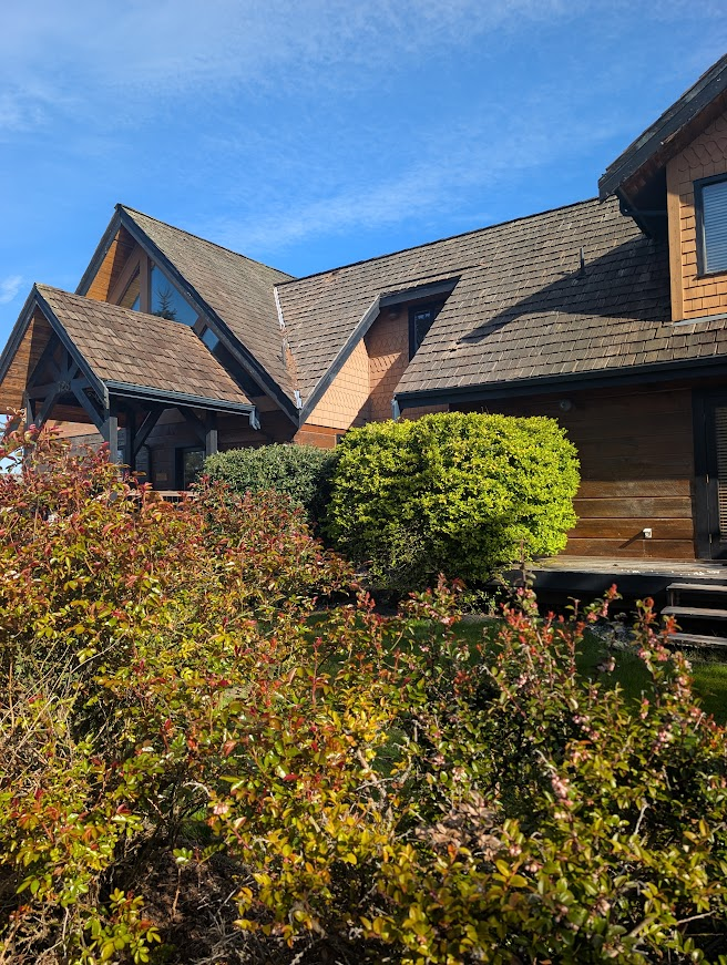 House with a wood-shingle roof where a raccoon evicted squirrels and took up residence